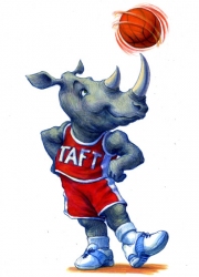 Funny Rhino with Basketball