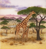 Giraffe