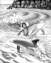 Boy Swimming with Dolphins