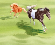 Horses Running in Field