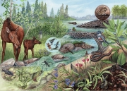 Riparian Ecosystem